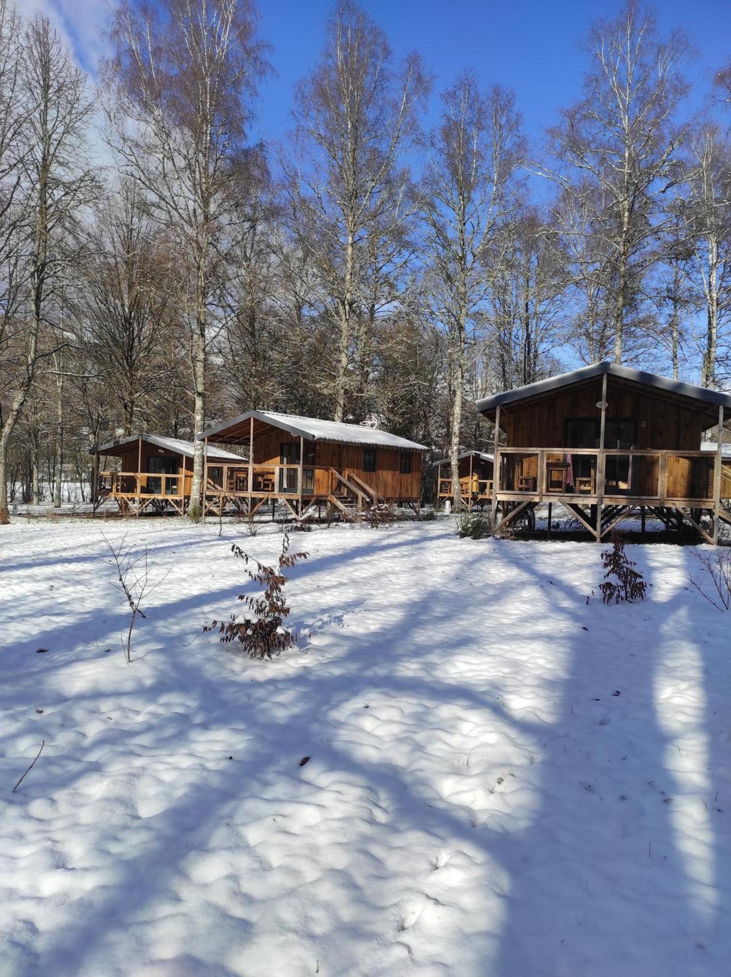 Camping La Borie Basse Condat  ภายนอก รูปภาพ