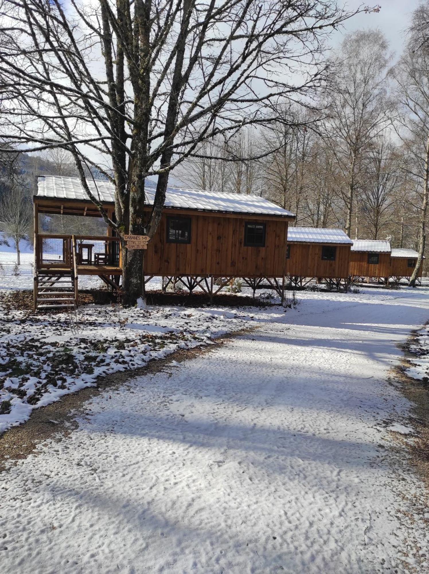 Camping La Borie Basse Condat  ภายนอก รูปภาพ